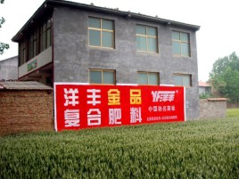 西畴如何让墙体广告展现最大化效果