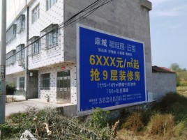 西畴墙体广告质量分析